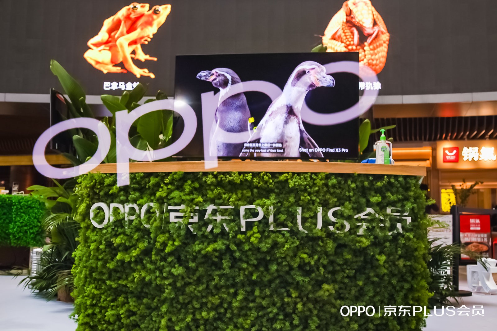 oppo 京东plus会员